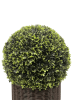 20" Ball Topiary in Woven Pot, Artificial Faux Plant for indoor and outdoor